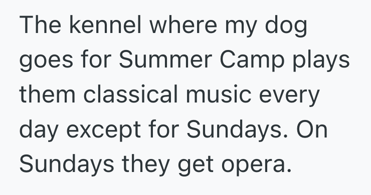 Screenshot 2025 05 09 at 12.22.24 AM Her Neighbor Wont Stop Her Dogs From Barking, So She Found A Loud Solution Of Her Own